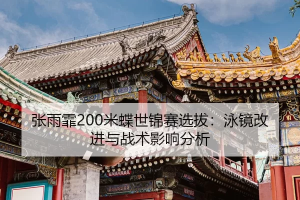 zhang-yu-fei-mi-die-shi-jin-sai-xuan-ba-yong-jing-gai-jin-yu-zhan-shu-ying-xiang-fen-xi-2-739.jpg